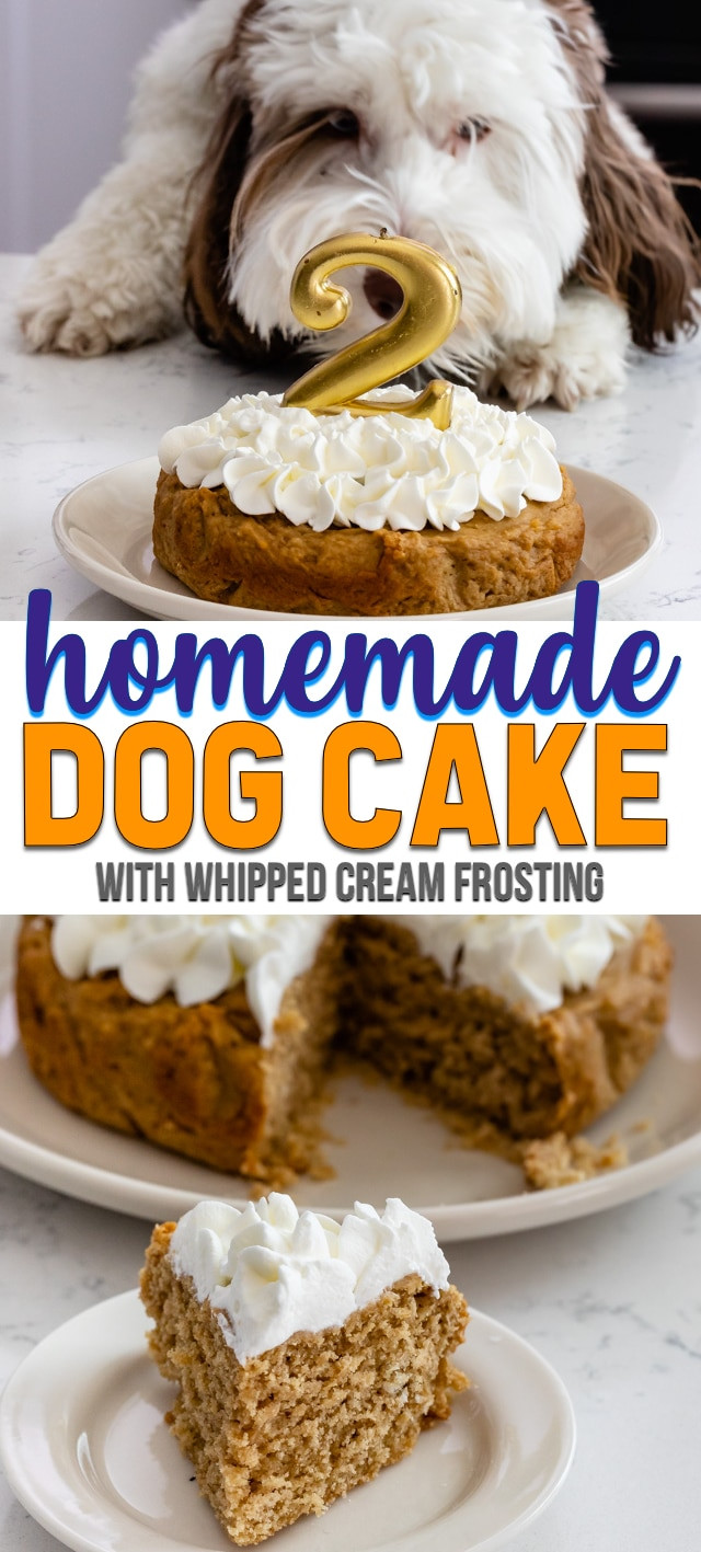 Dog Birthday Cake Recipes Easy
 Easy Homemade Dog Cake Recipe