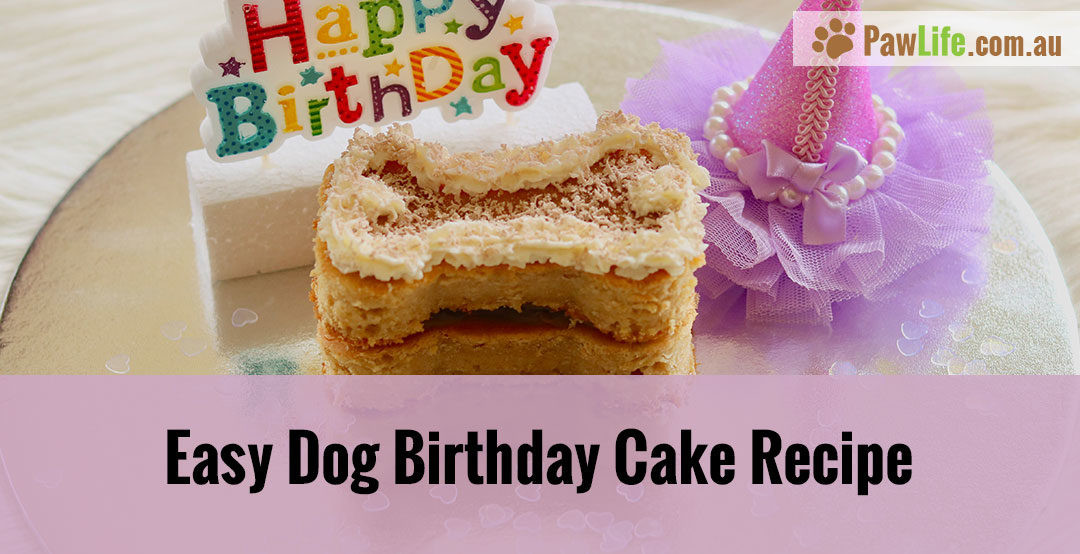 Dog Birthday Cake Recipes Easy
 Easy Dog Birthday Cake Recipe Paw Life