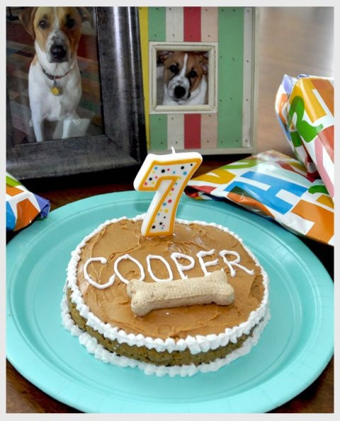 Dog Birthday Cake Recipes Easy
 Doggie Birthday Cakes B Lovely Events