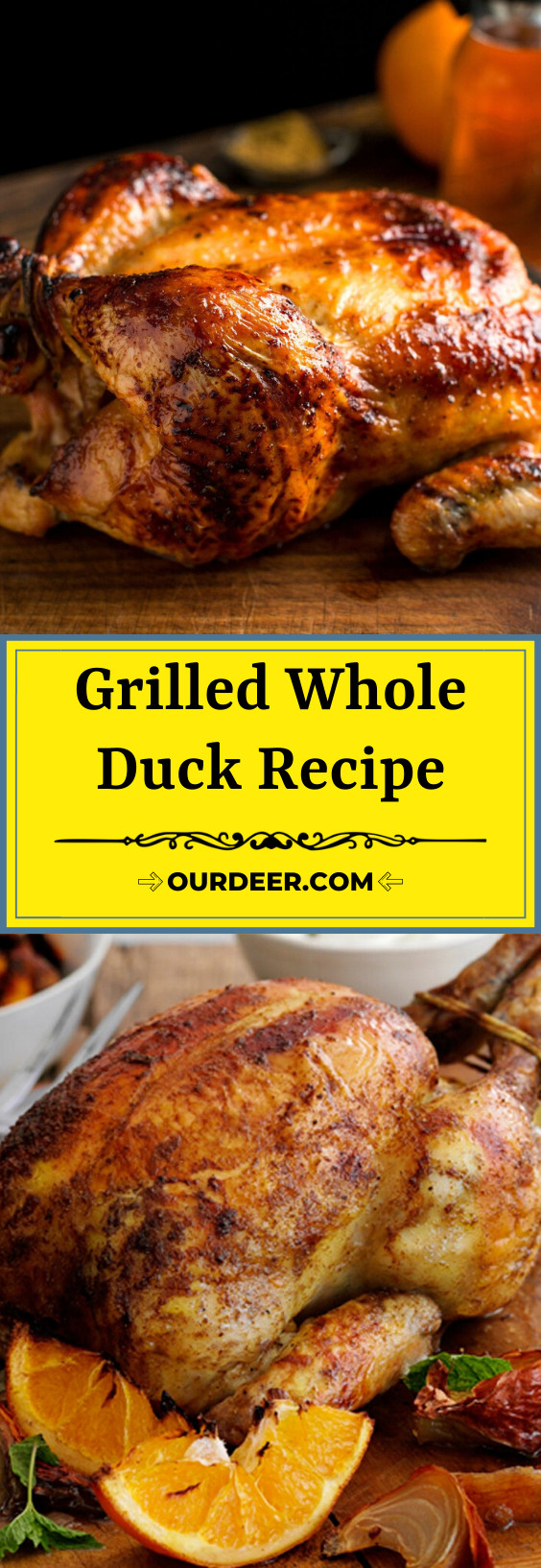 Duck Appetizer Recipes
 Grilled Whole Duck Recipe