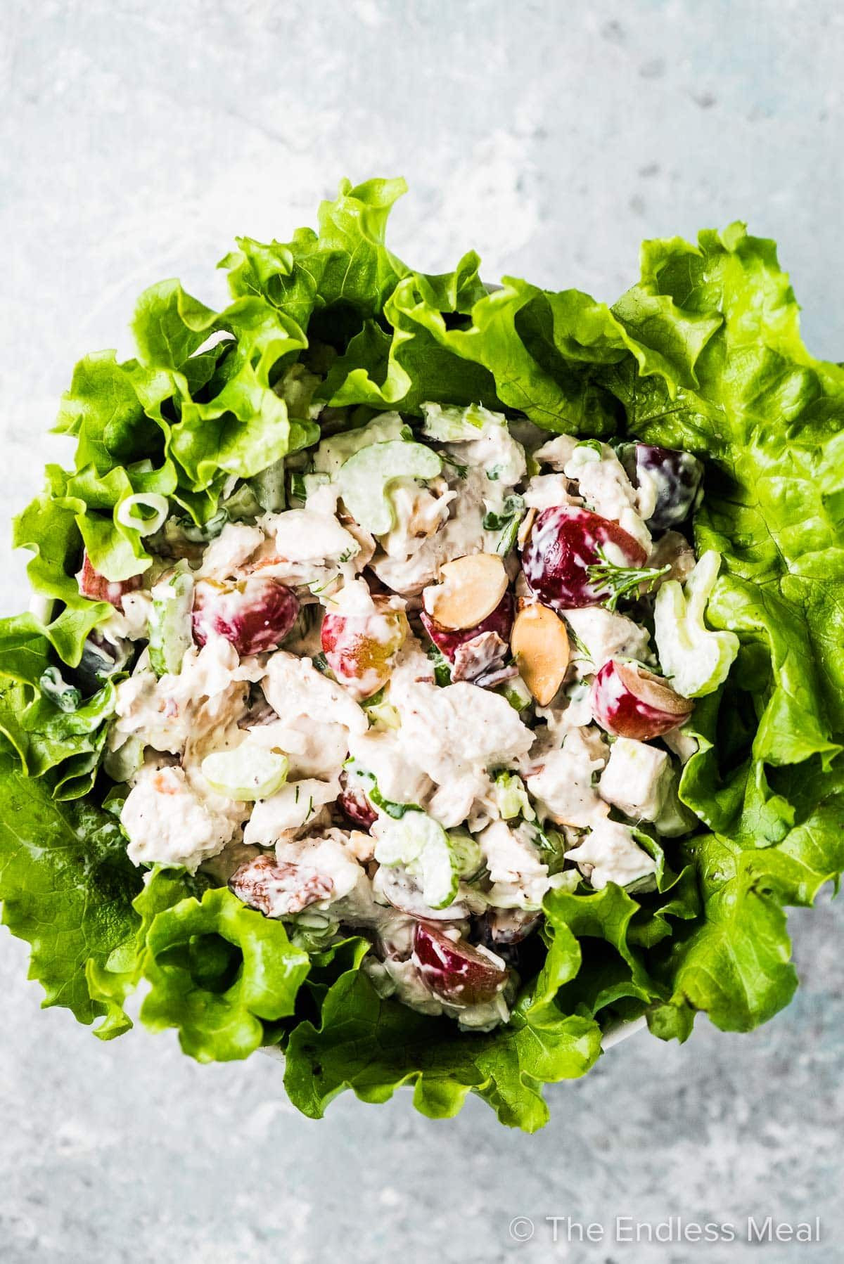 Easy Chicken Salad Recipe With Grapes
 Best Chicken Salad Recipe