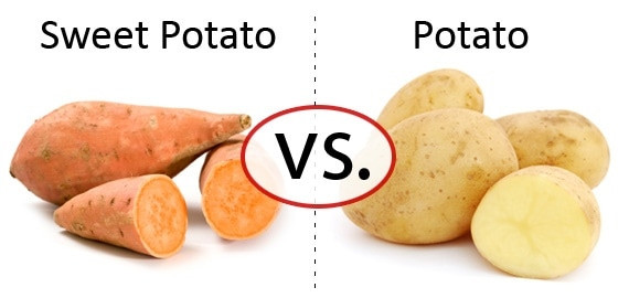 Fiber In Sweet Potato
 Nutrition Faceoff Sweet Potato vs Potato