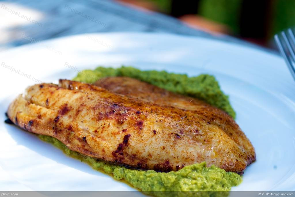 Flounder Fish Recipes
 Great Grilled Flounder Recipe