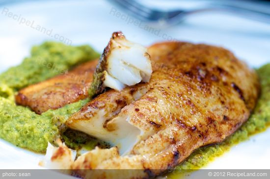 Flounder Fish Recipes
 Great Grilled Flounder recipe