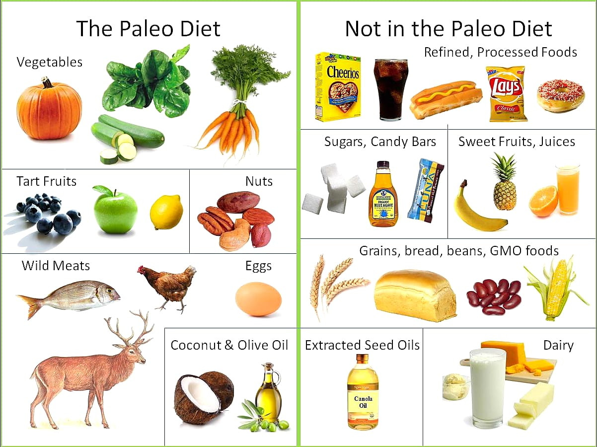 Foods Allowed On Paleo Diet
 What Is The Paleo Diet and Why Has It Be e So Popular