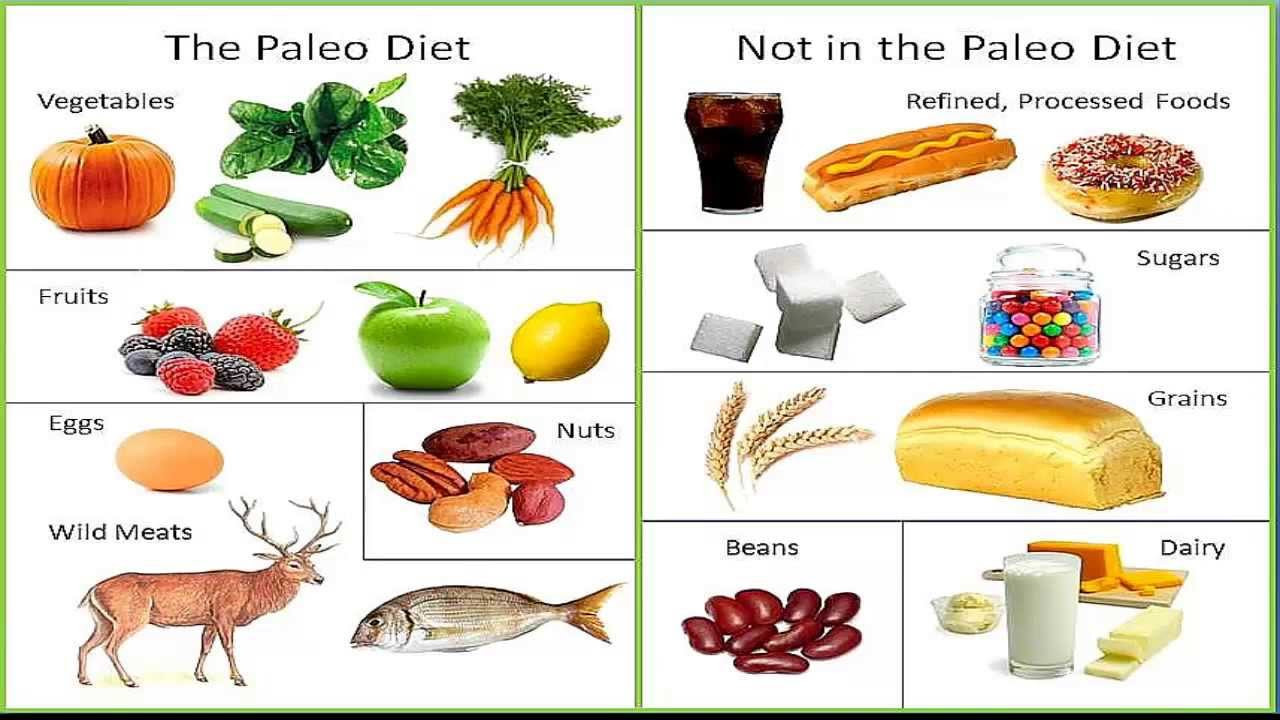 Foods In The Paleo Diet
 The Links Between Your Hormone and Diet AAI Clinic