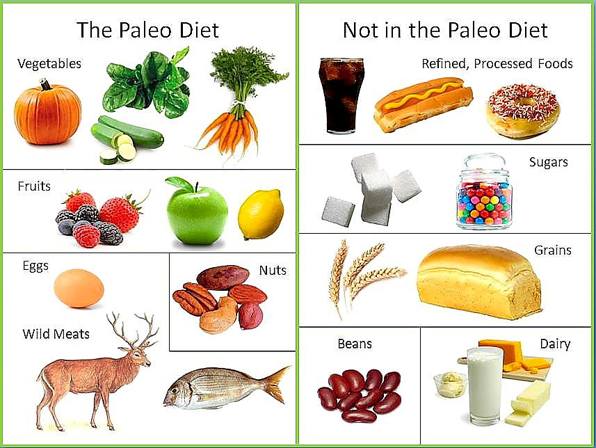 Foods In The Paleo Diet
 10 best and WORST ts of 2014 – FITNESS AND NUTRITION