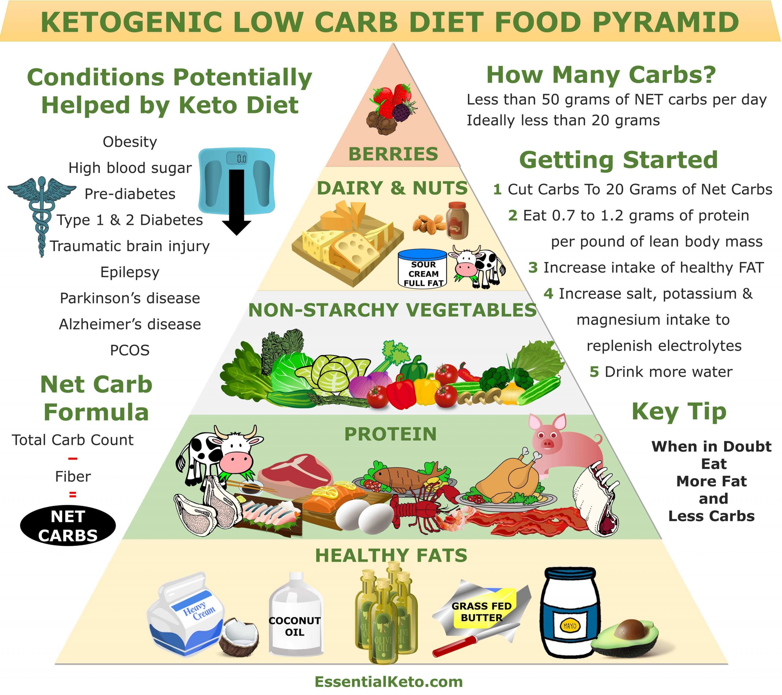 Foods On The Keto Diet
 How to Shift to a Fasting Lifestyle Week e