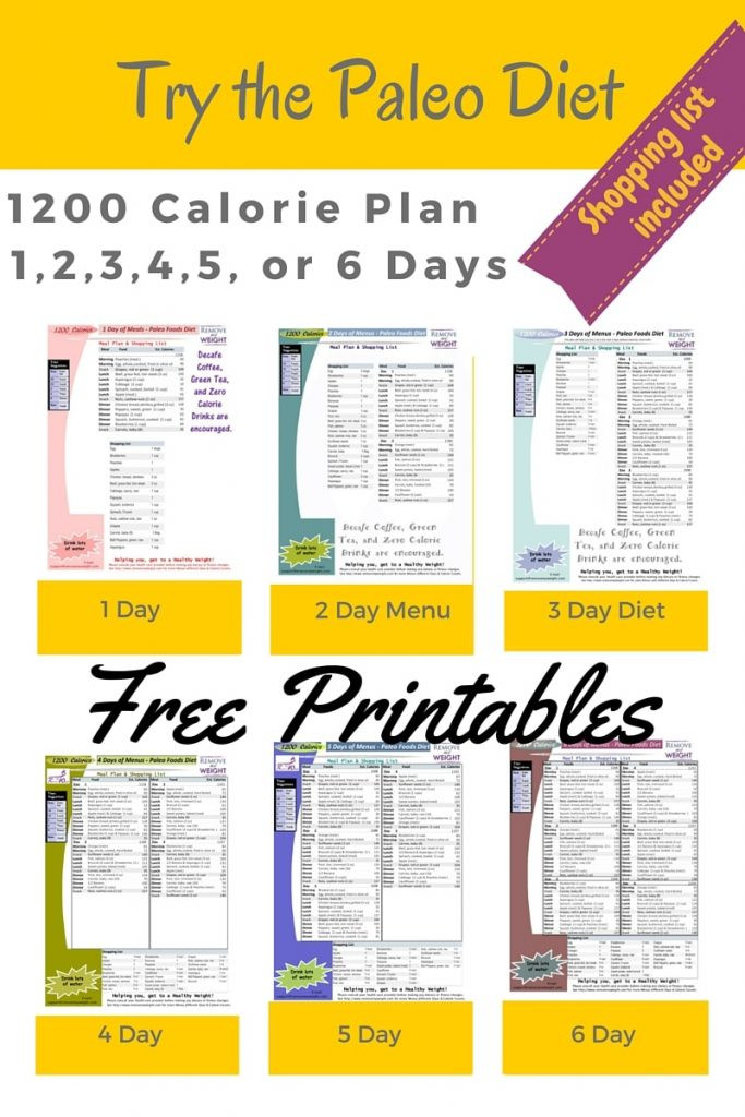Free Paleo Diet
 Printable 1200 Calorie Paleo Diet for 6 Days or less