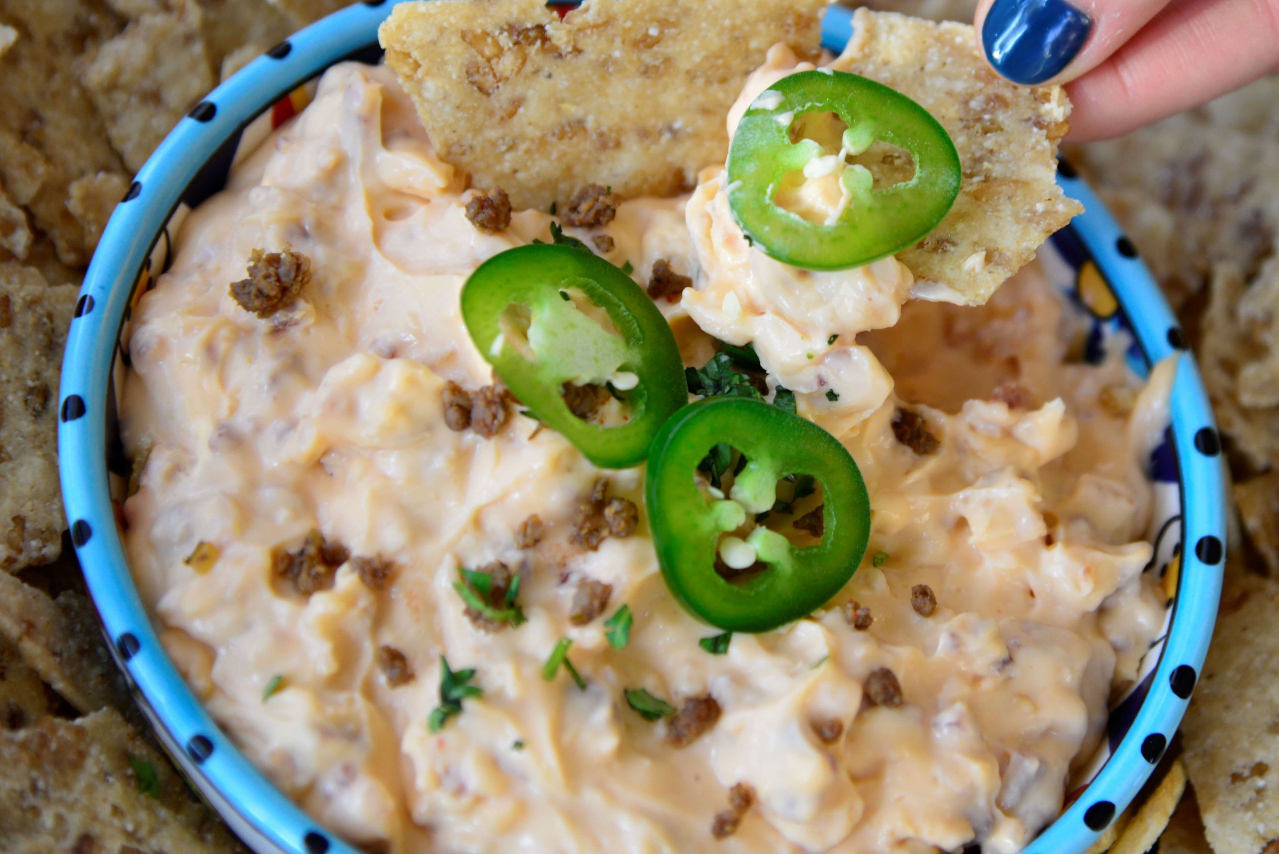Gluten Free Appetizers To Buy
 Cheddar Bacon Dip Recipe