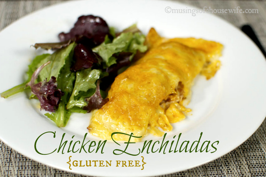 Gluten Free Chicken Enchiladas
 Gluten Free Chicken Enchiladas