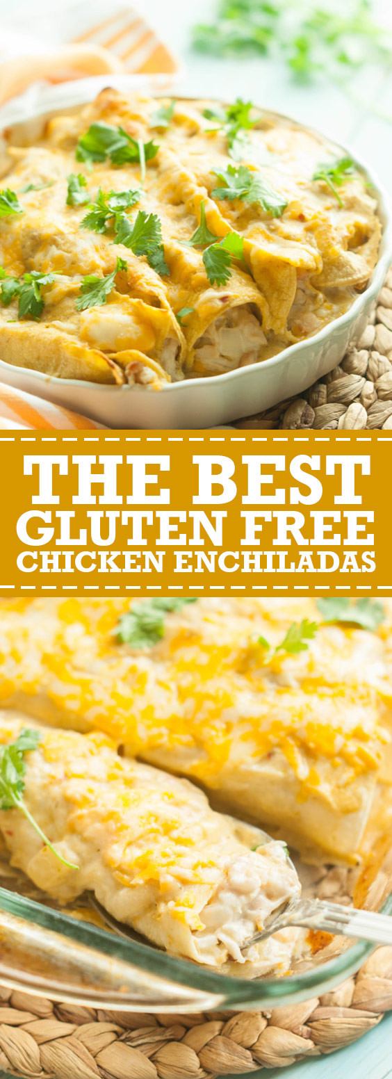 Gluten Free Chicken Enchiladas
 The Best Gluten Free Chicken Enchiladas Id newstimes