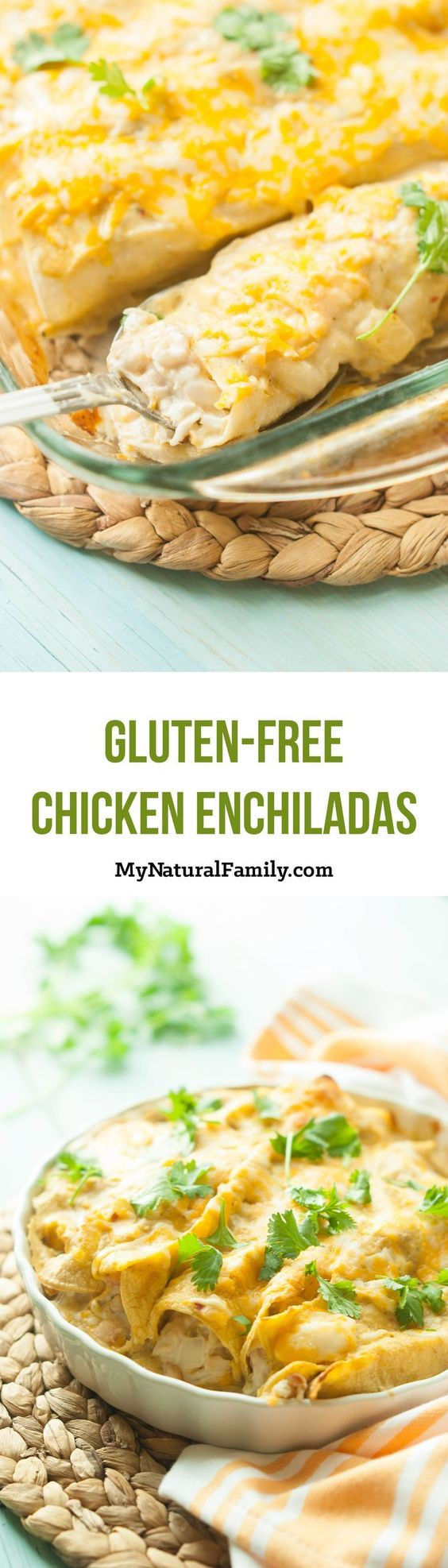 Gluten Free Chicken Enchiladas
 Gluten Free Chicken Enchiladas Recipe
