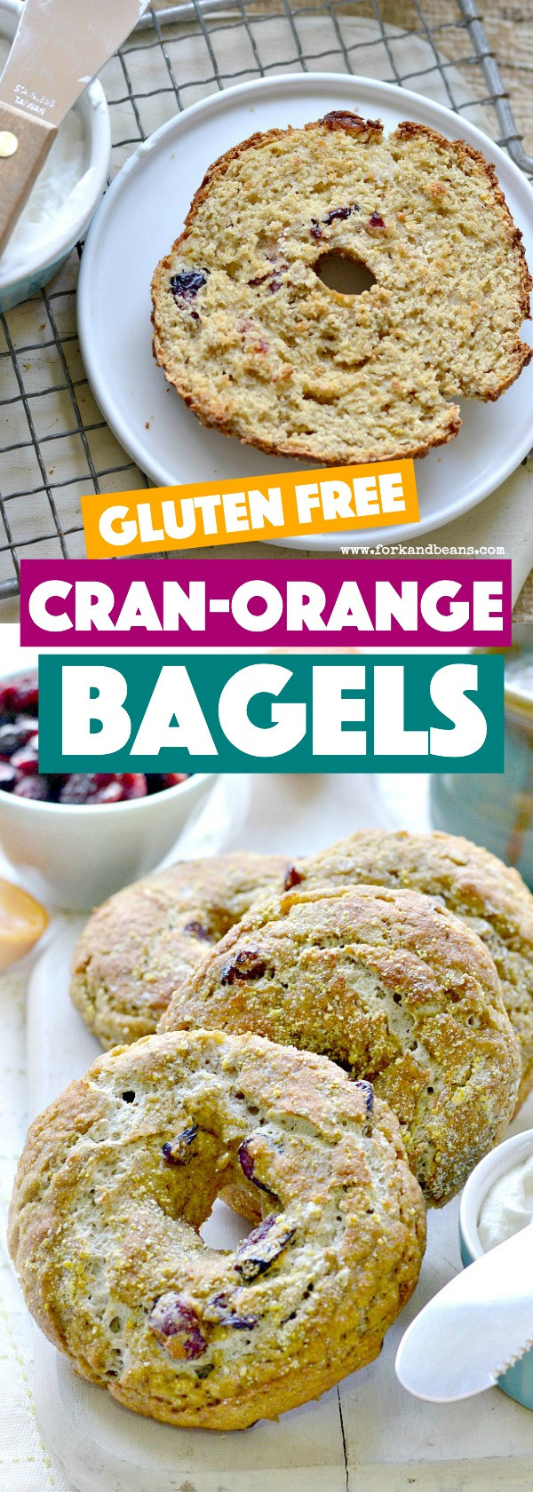 Gluten Free Vegan Bagels
 Gluten Free Vegan Cranberry Orange Bagels Fork and Beans