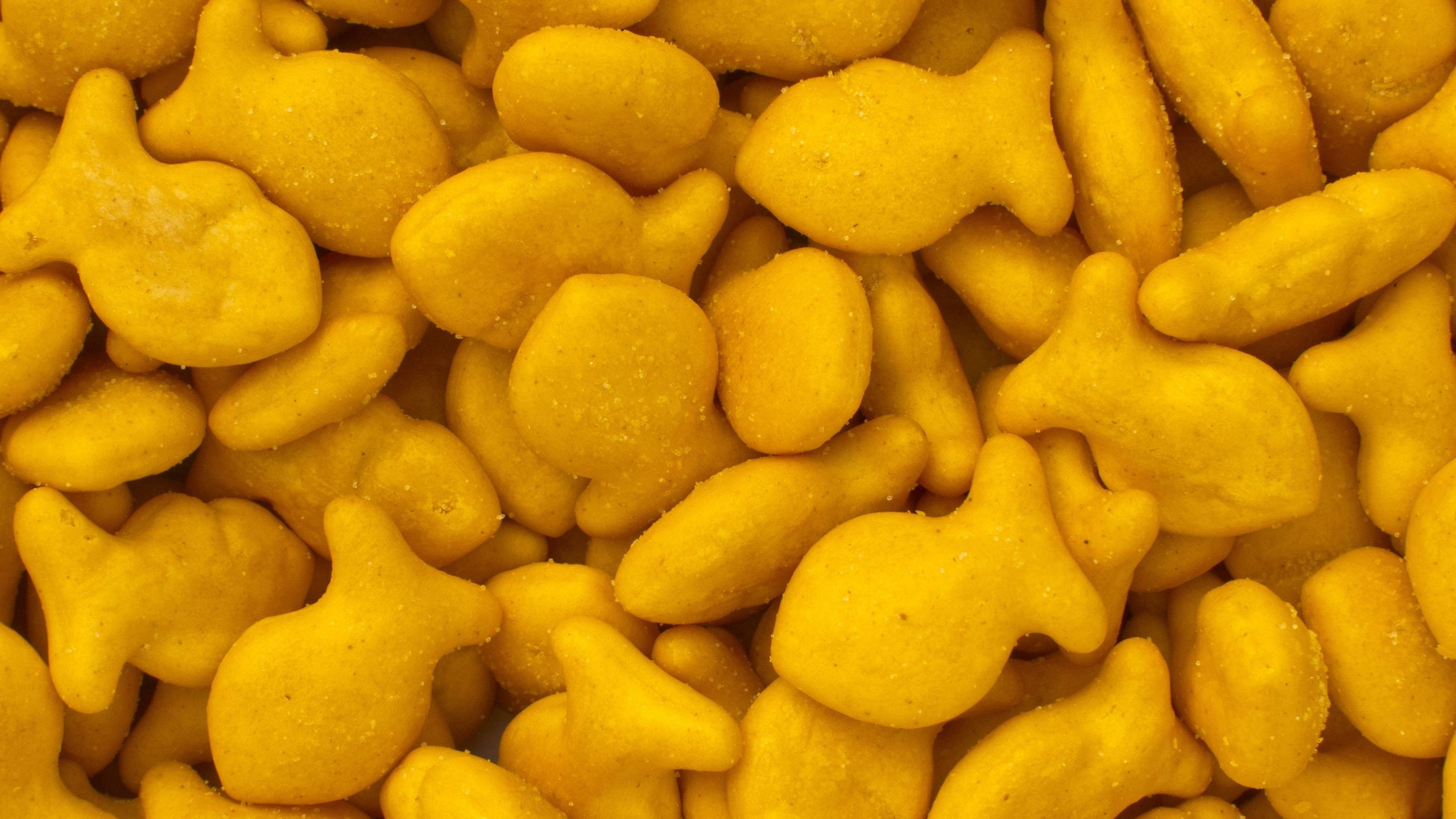 Goldfish Crackers Salmonella
 Salmonella Prompts Goldfish Crackers Recall