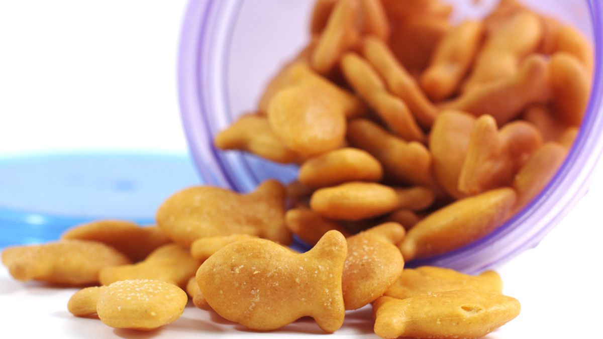 Goldfish Crackers Salmonella
 Recall alert 3 million Goldfish Crackers for possible