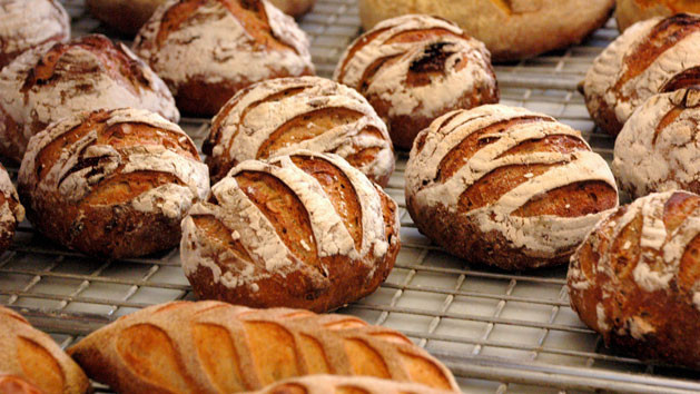 Gourmet Bread Recipes
 The top 30 Ideas About Gourmet Bread Recipes Best Round