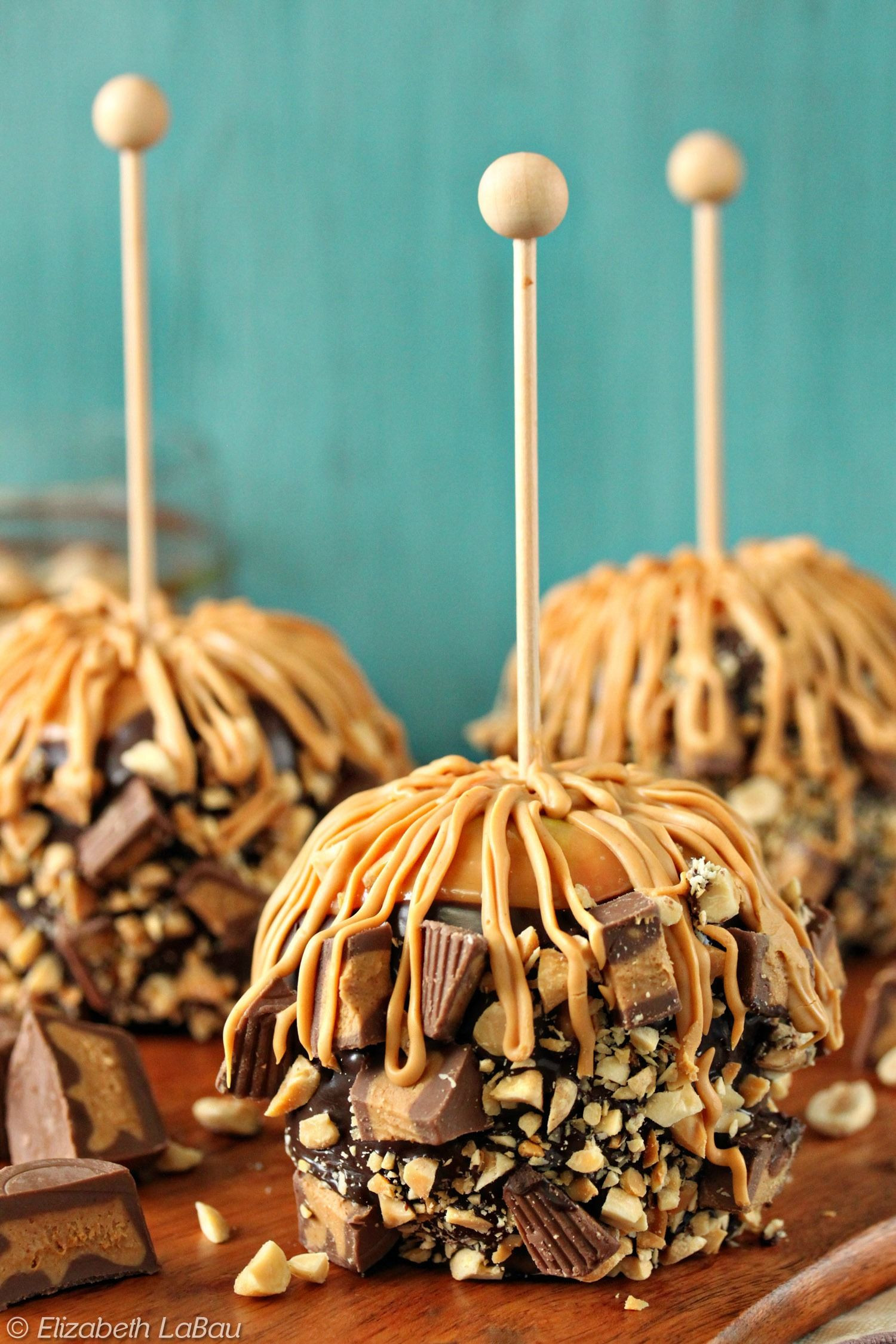 Gourmet Candy Apple Recipes
 Peanut Butter Caramel Apples With Chocolate and Peanut