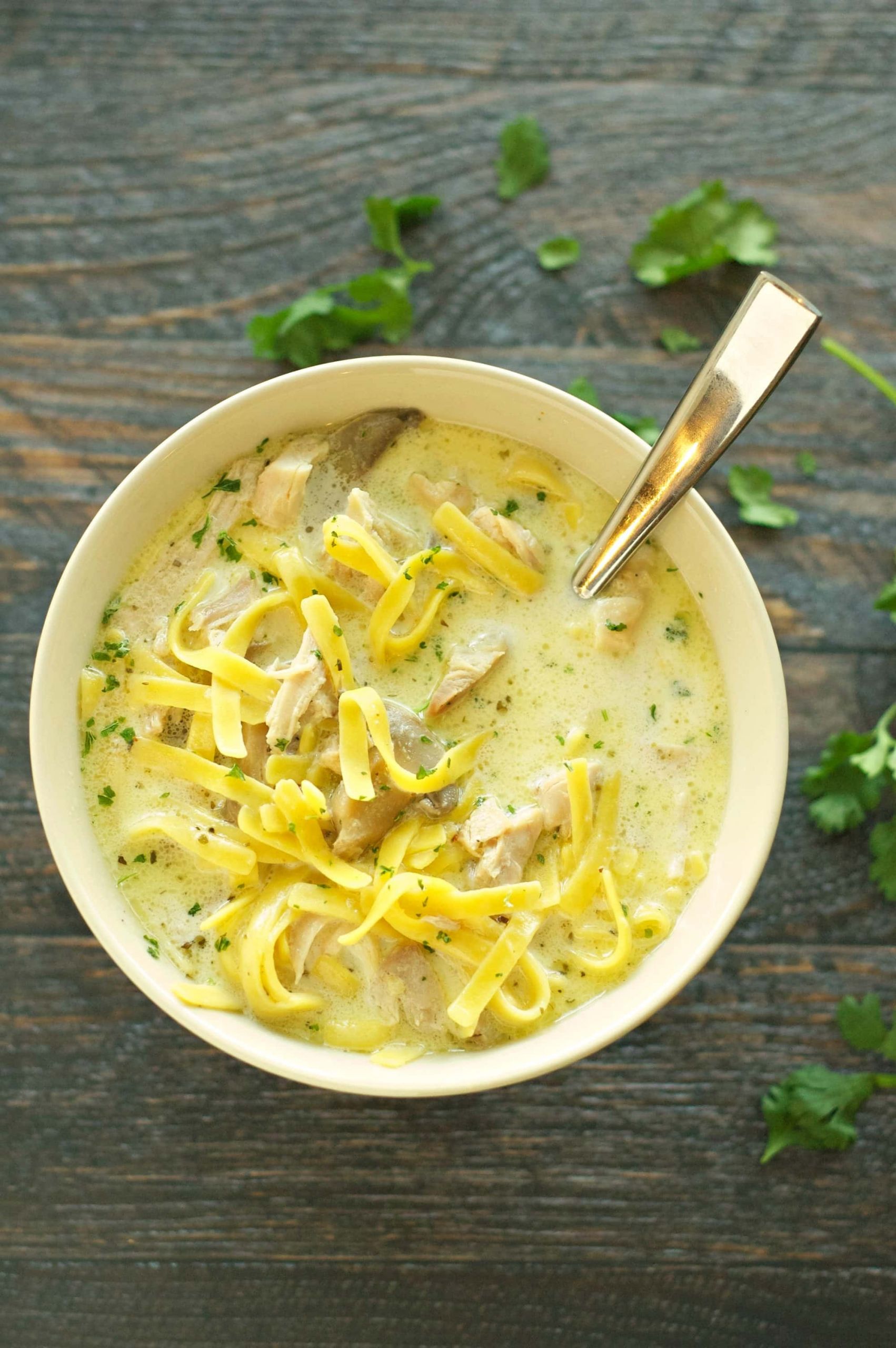 Gourmet Chicken Noodle Soup
 Slow Cooker Creamy Chicken Noodle Soup Slow Cooker Gourmet