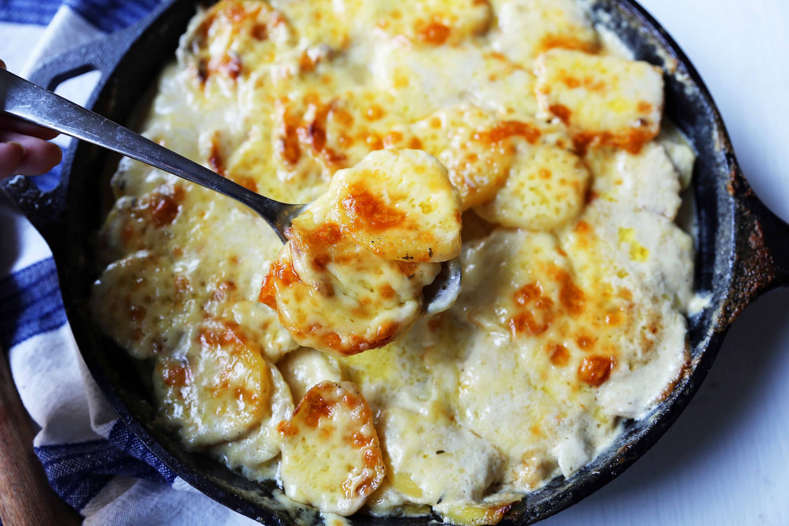 Gourmet Scalloped Potatoes
 Thanksgiving Recipes – Modern Honey