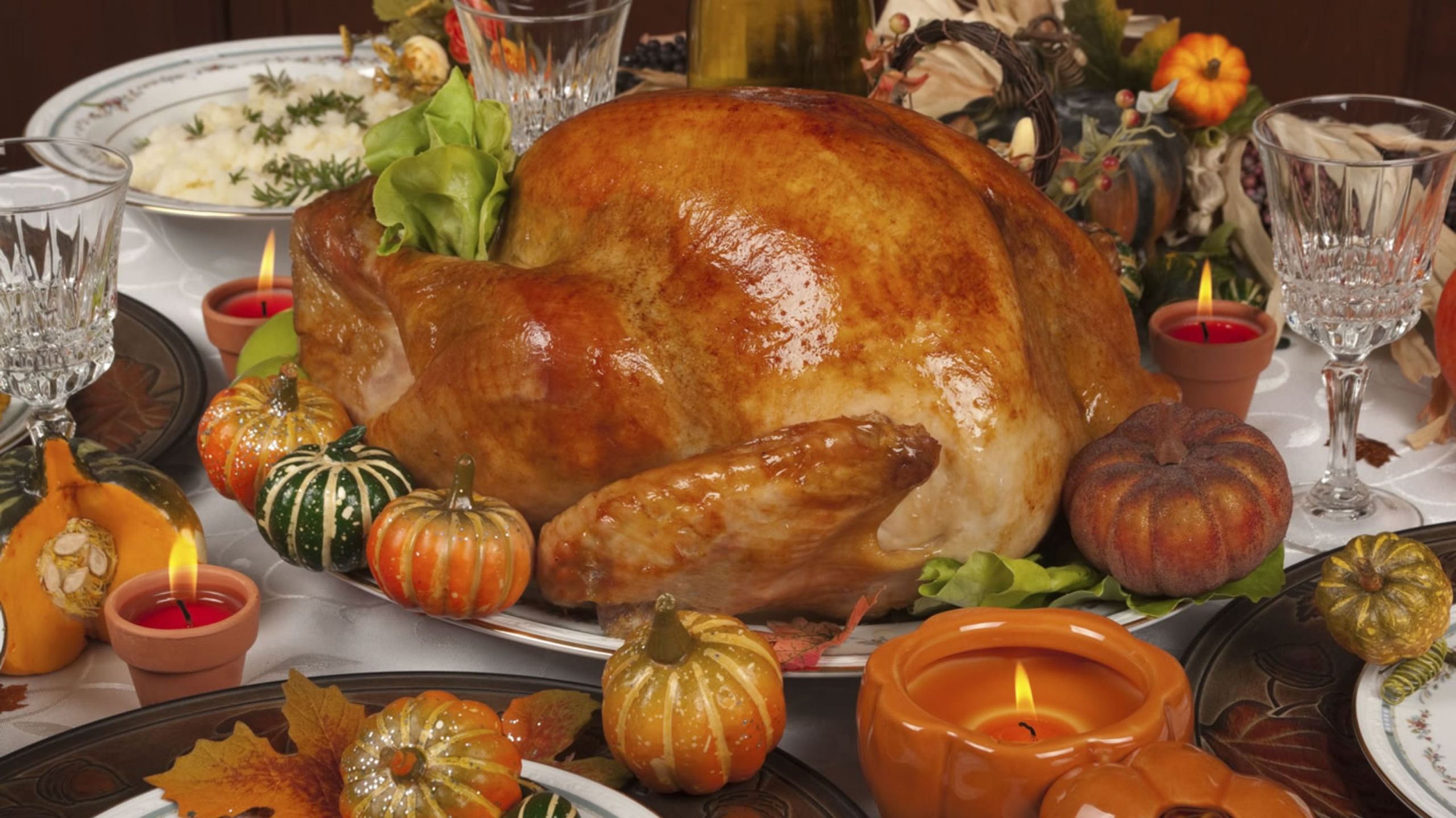 Gracias The Thanksgiving Turkey
 thanksgiving Holiday Autumn Turkey Wallpapers HD