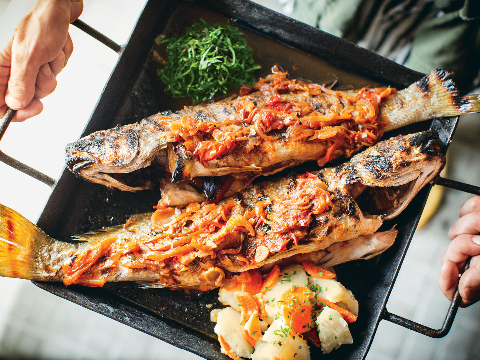 Grilling Fish Recipes
 Grilled Whole Fish with Tomato Fennel Sauce Recipe