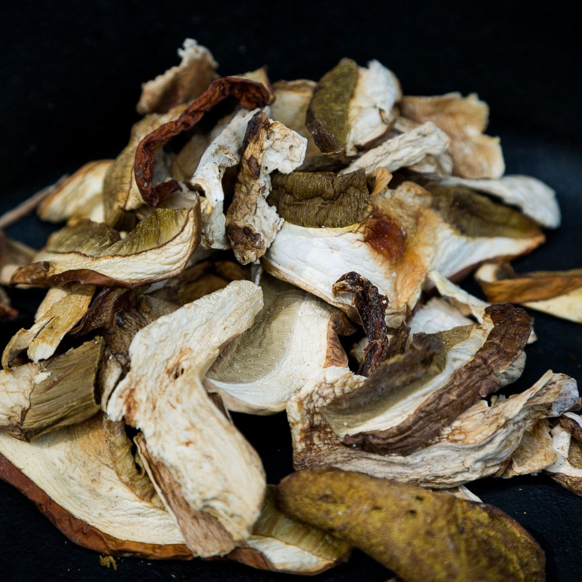 Growing Porcini Mushrooms
 Dried Porcini Ceps Mushrooms Boletus edulis – Smithy