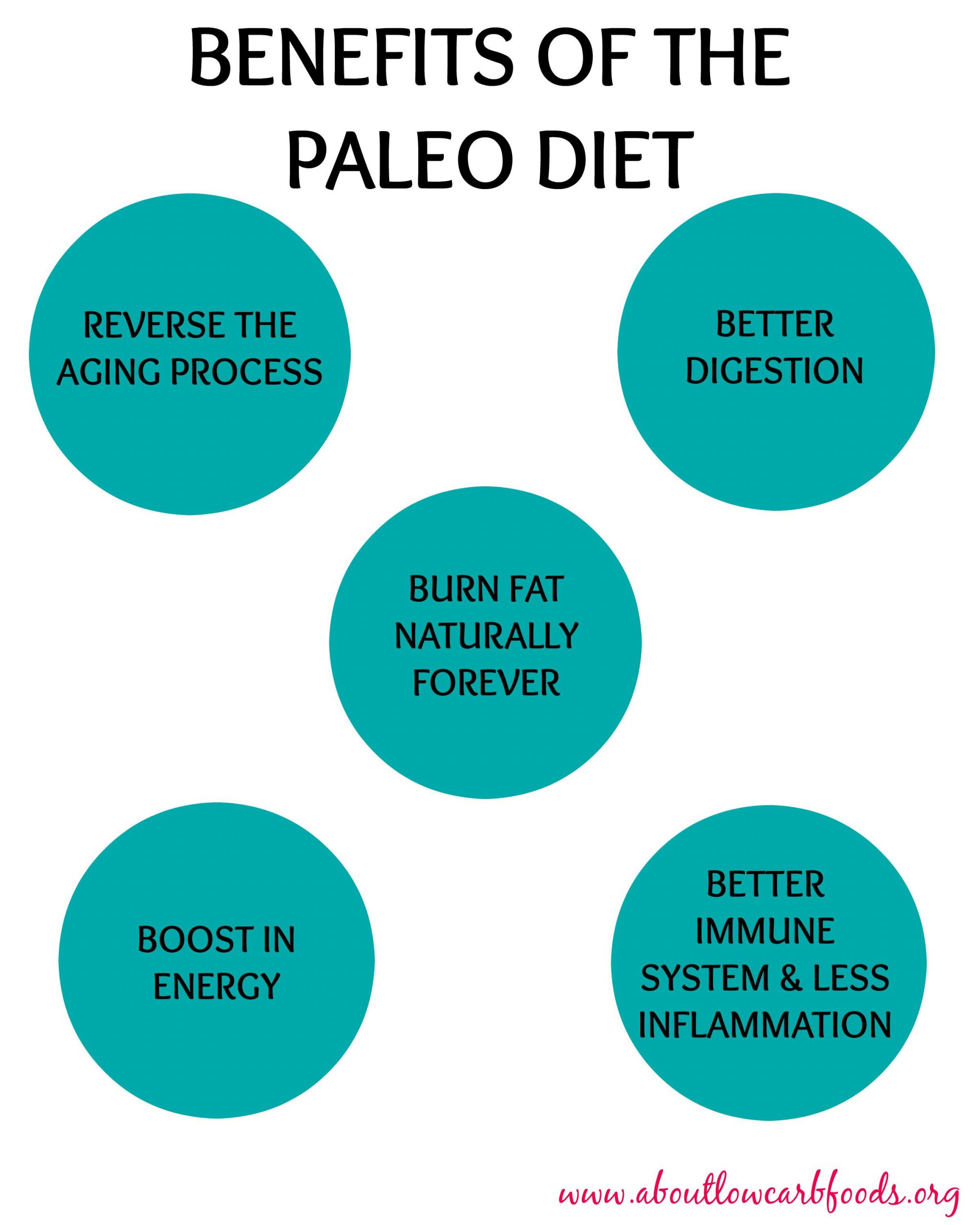 Health Benefits Of Paleo Diet
 Paleo Diet Hack Recipes – Great Recipes for Healthy Living