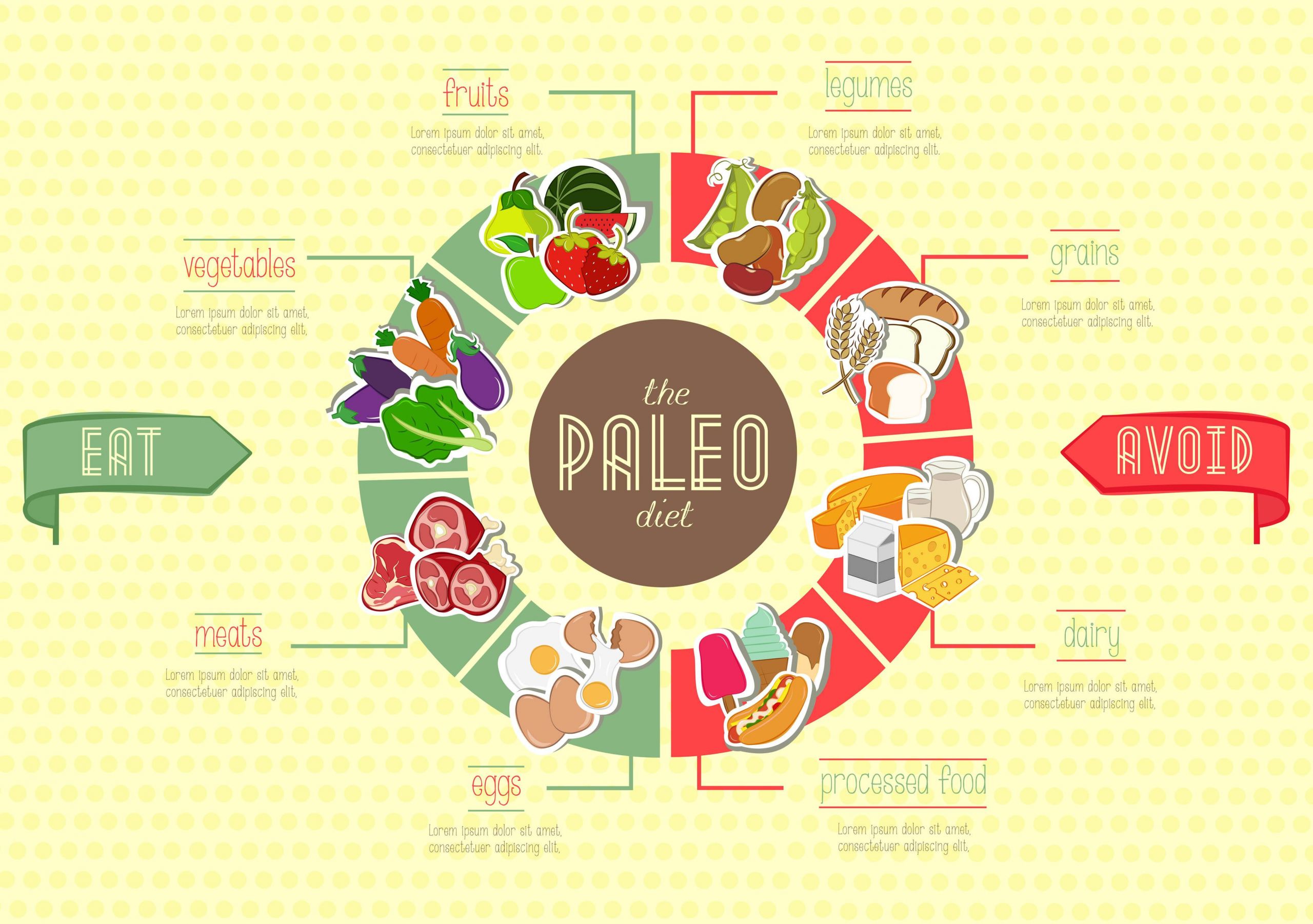 Health Benefits Of Paleo Diet
 Beginner s Guide Paleo Diet For Weight Loss And Better Health