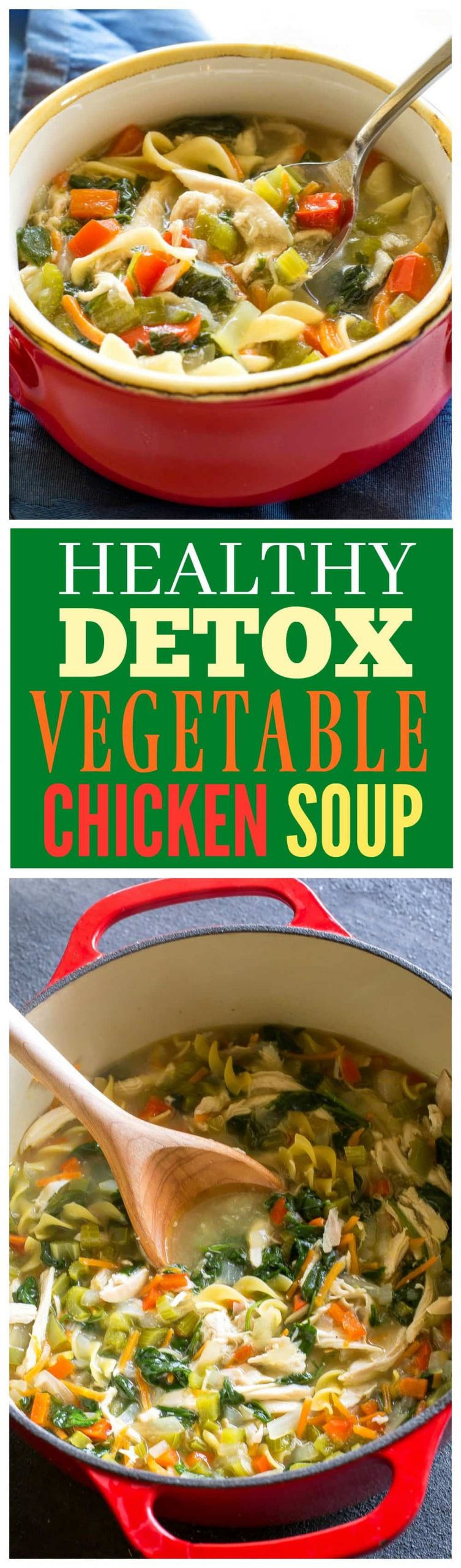 Healthy Chicken Soup Recipes
 Healthy Ve able Chicken Soup The Girl Who Ate Everything