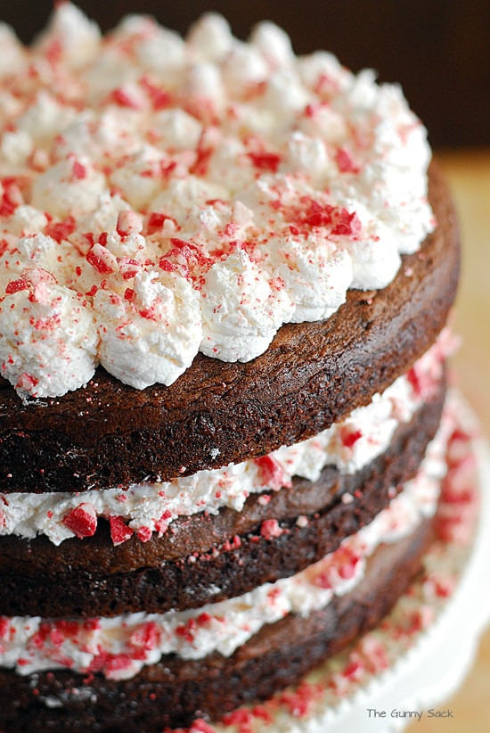 Holiday Desserts Recipes
 Chocolate Peppermint Torte