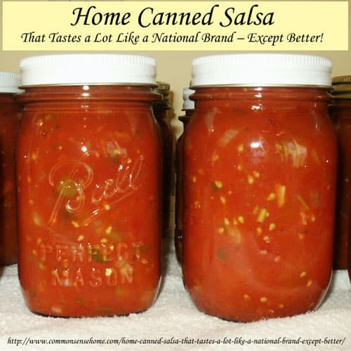 Home Canned Salsa Recipe
 Home Canned Salsa Recipe That Tastes a Lot Like a National