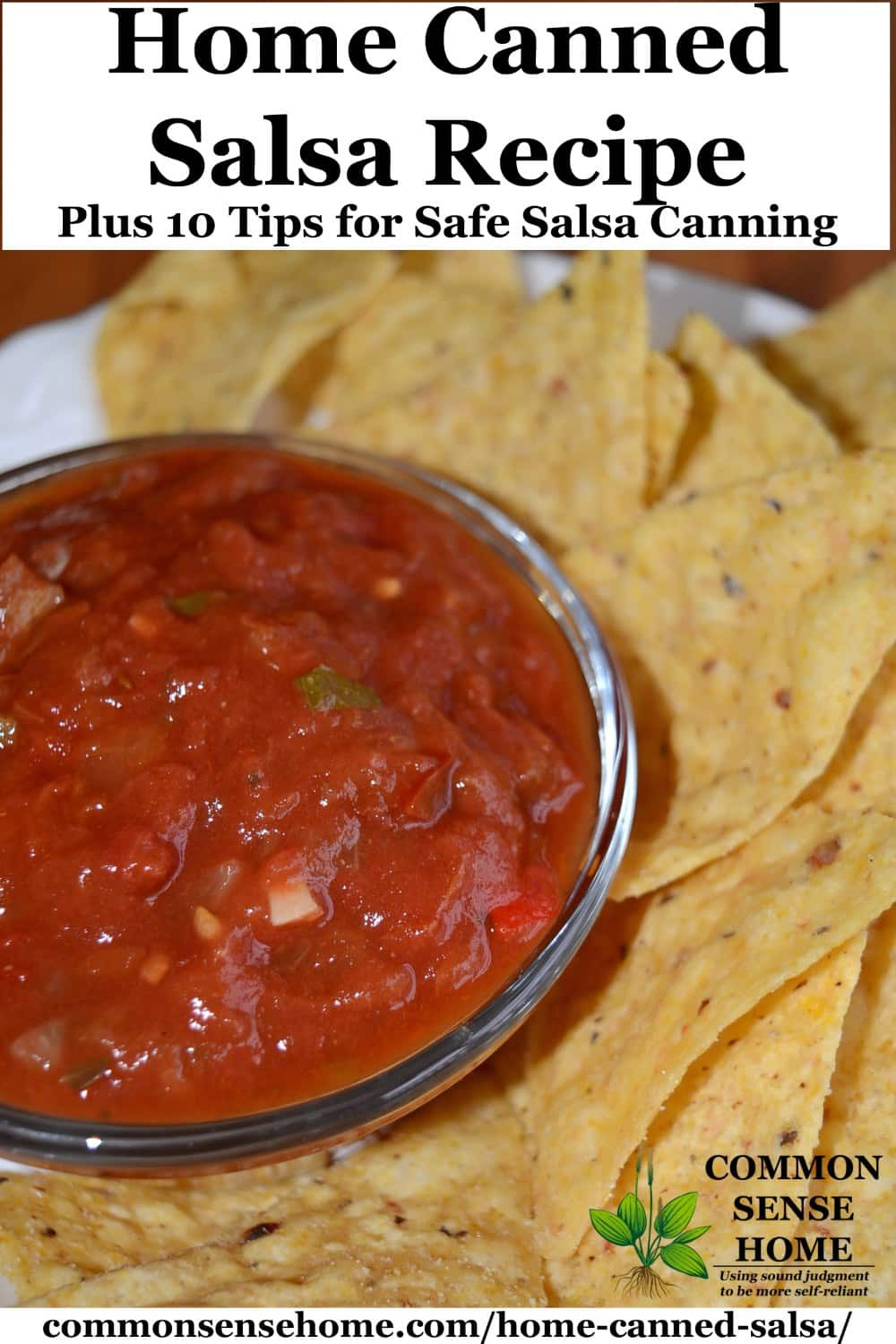 Home Canned Salsa Recipe
 Home Canned Salsa Recipe Plus 10 Tips for Canning Salsa