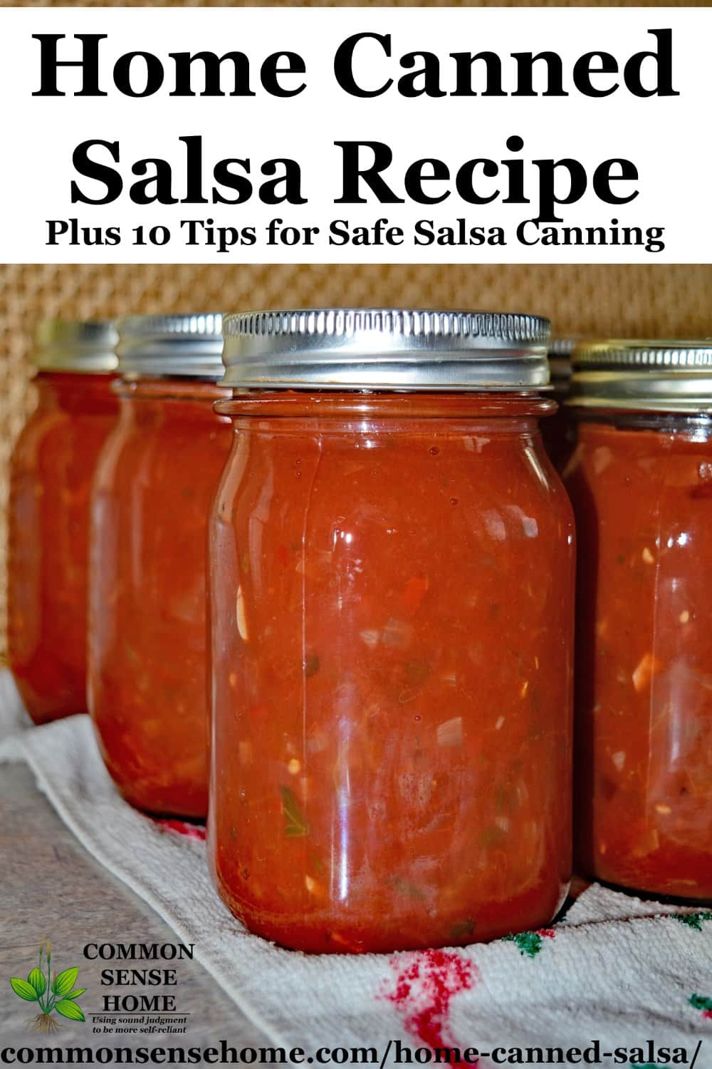 Home Canned Salsa Recipe
 Home Canned Salsa Recipe Plus 10 Tips for Canning Salsa