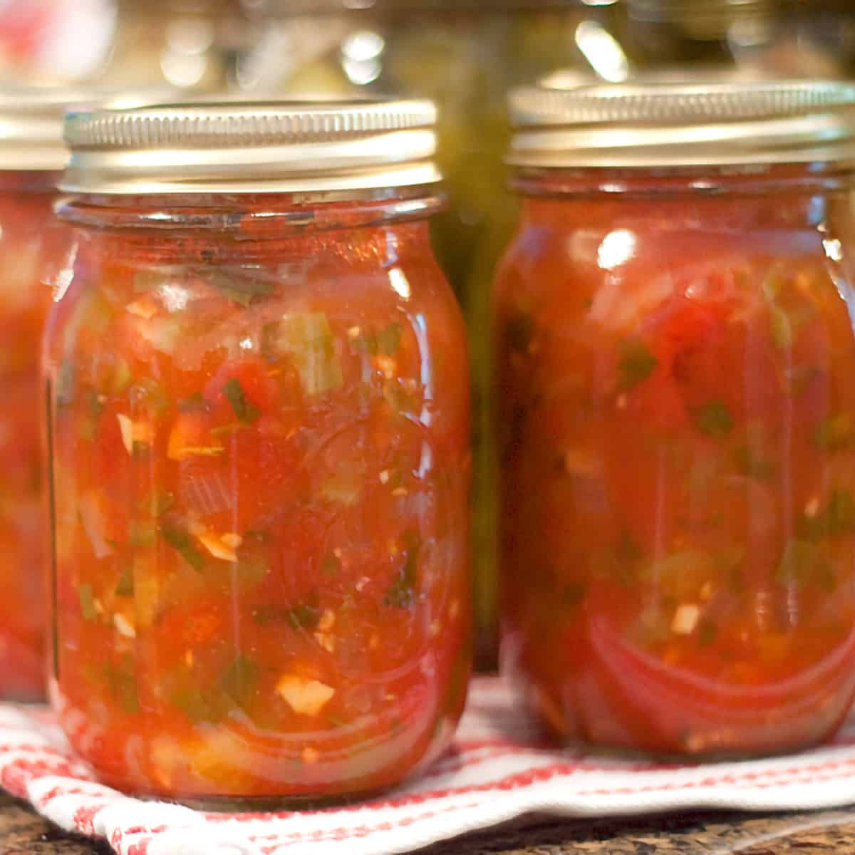 Home Canned Salsa Recipe
 Basic Salsa Canning Recipe from Never Enough Thyme