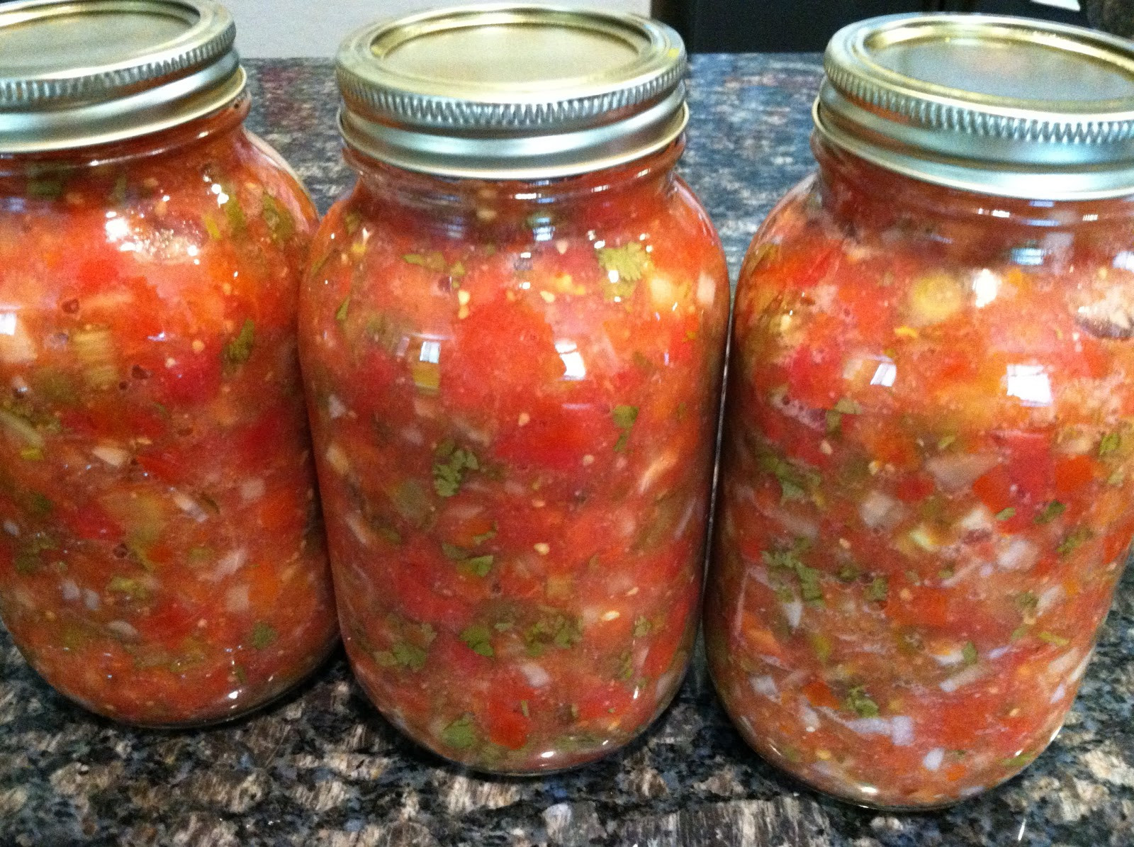 Home Canned Salsa Recipe
 Canned Tomato Salsa Recipe — Dishmaps