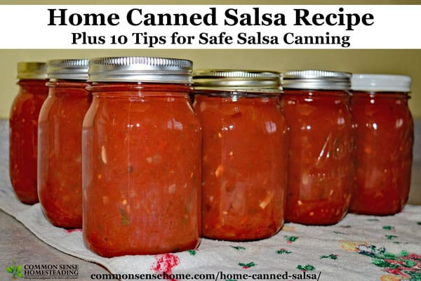 Home Canned Salsa Recipe
 Home Canned Salsa Recipe Plus 10 Tips for Safe Salsa Canning