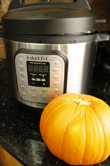 Instant Pot Pumpkin Pie
 How To Cook a Whole Pumpkin in an Instant Pot 12 Minute