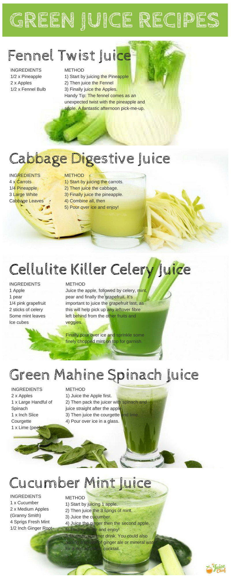 Juicer Recipes Weight Loss
 Super Healthy Green Juice Recipes For You To Try Infographic