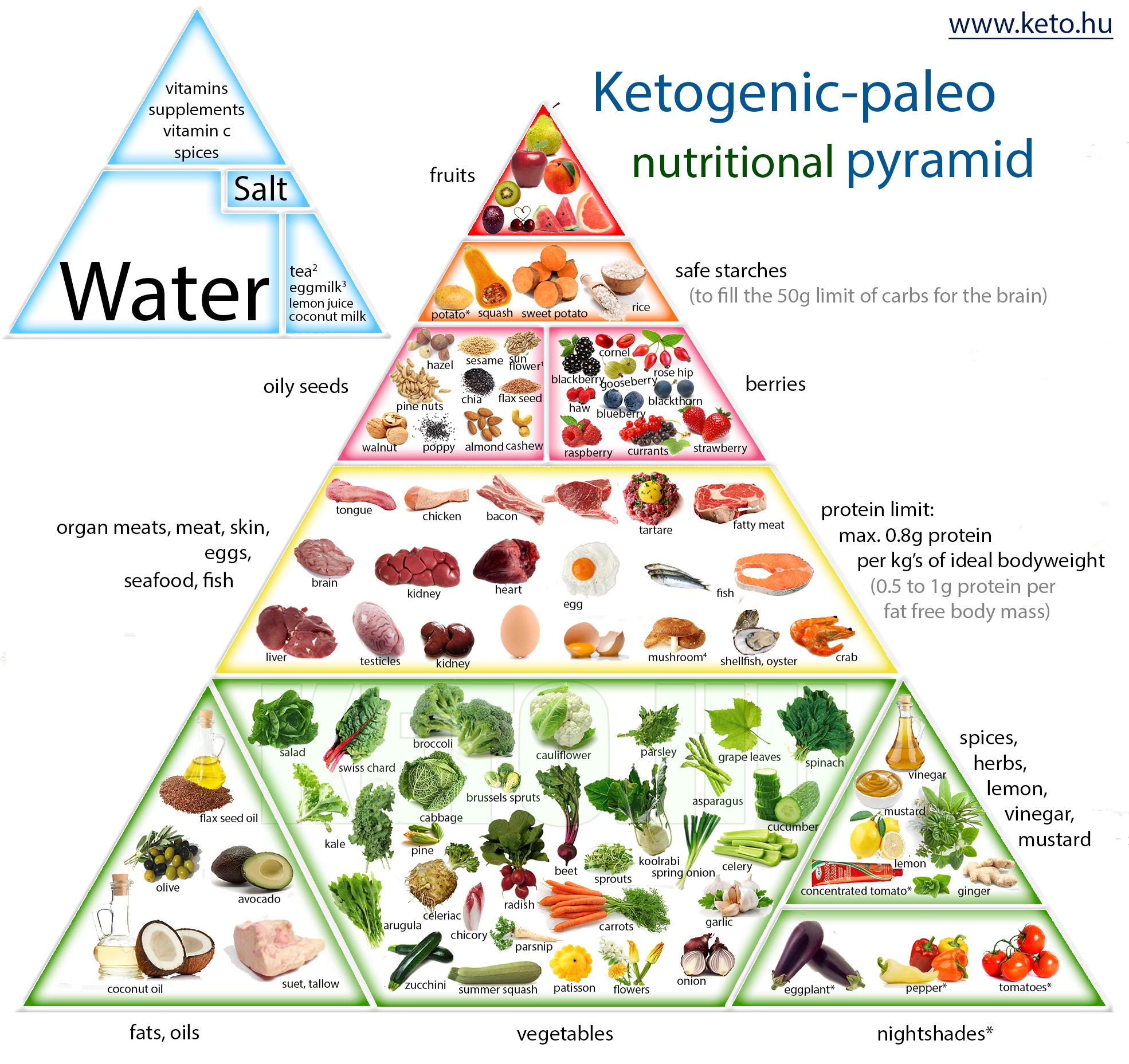 Keto Diet Food Pyramid
 ketogenic paleo nutrition pyramid