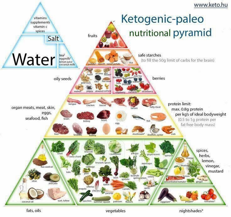 Keto Diet Food Pyramid
 Keto food pyramid