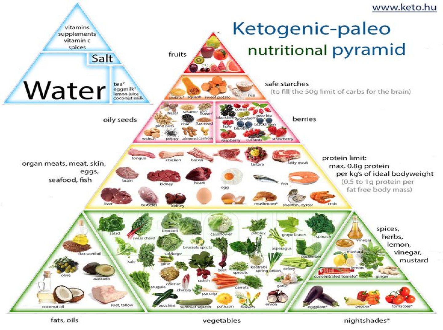 Keto Diet Food Pyramid
 Ketogenic Pyramid Keto Food