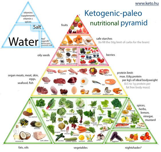 Keto Diet Food Pyramid
 tary food pyramid 2014