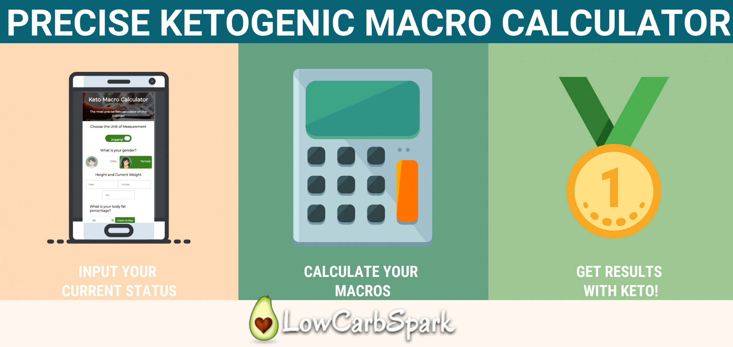 Keto Diet Macro Calculator
 Keto Calculator The Most Precise & Easy Way to Calculate