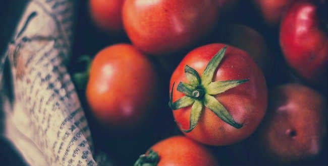 Keto Diet Tomatoes
 Tomatoes A Keto Diet