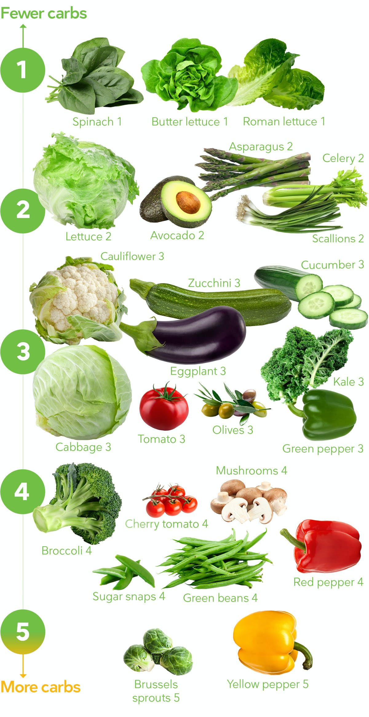 Keto Diet Veggies
 Keto Ve ables – The Visual Guide to the Best and Worst
