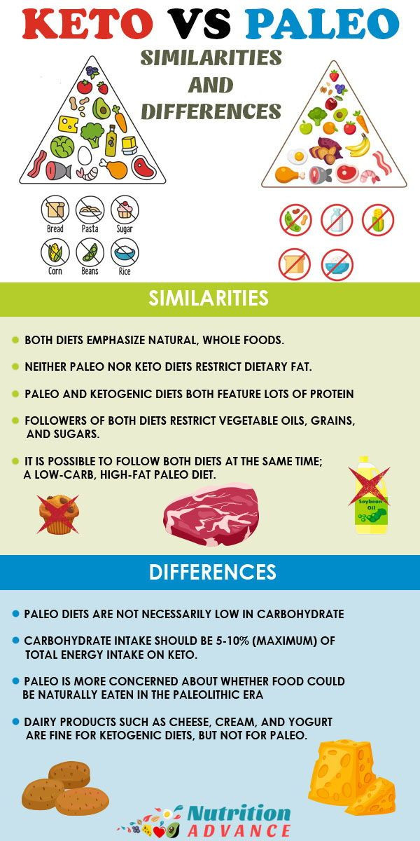 The 21 Best Ideas for Ketogenic Diet Vs Paleo - Best Recipes Ideas and