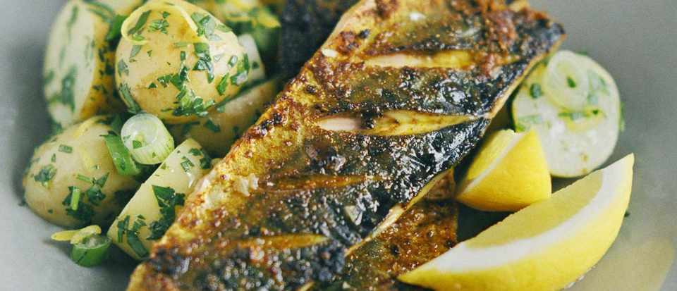 Mackeral Fish Recipes
 Spiced mackerel fillets with potato salad recipe