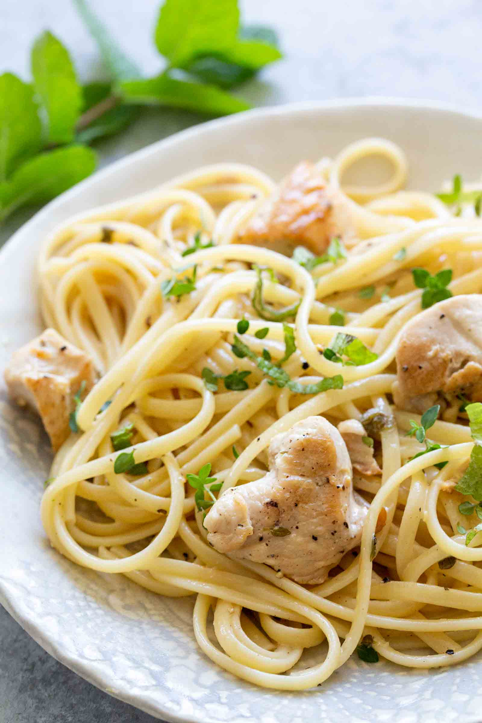 Meat Pasta Sauces
 Chicken Pasta with Thyme Mint Cream Sauce Recipe