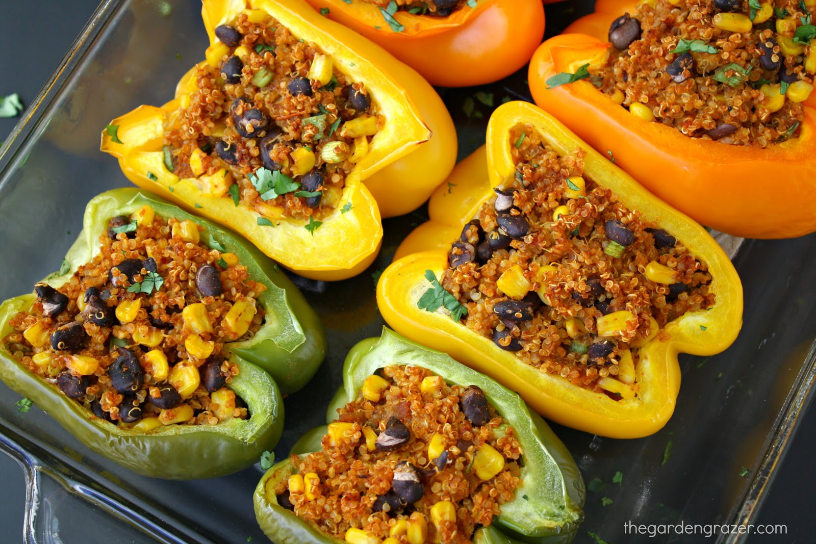 Mexican Food Ideas For Dinner
 The Garden Grazer Mexican Quinoa Stuffed Peppers